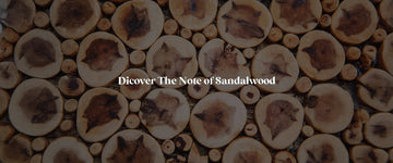 The Ultimate Guide to Sandalwood Perfumes: A Journey Through Exotic Fragrances - RareScents