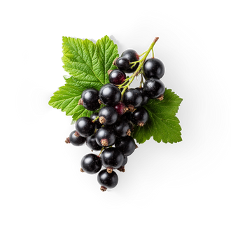 Blackcurrant
