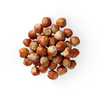 Hazelnut 