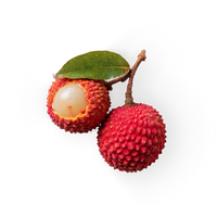 Litchi