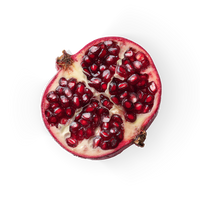 Pomegranate