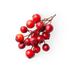 Red Berries